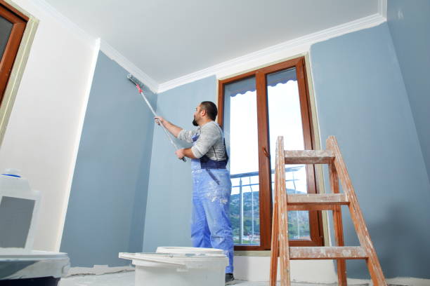 Best Residential Mold Inspection & Testing  in Fritch, TX