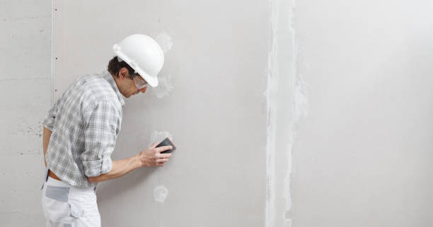 Best Biohazard Mold Removal  in Fritch, TX