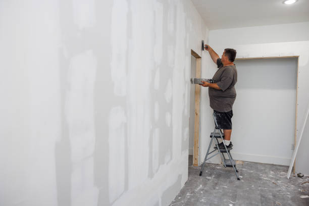 Best Industrial Mold Remediation  in Fritch, TX