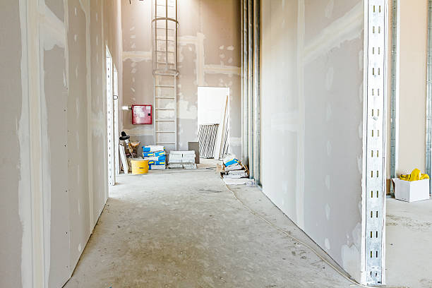 Trusted Fritch, TX Mold Removal Experts