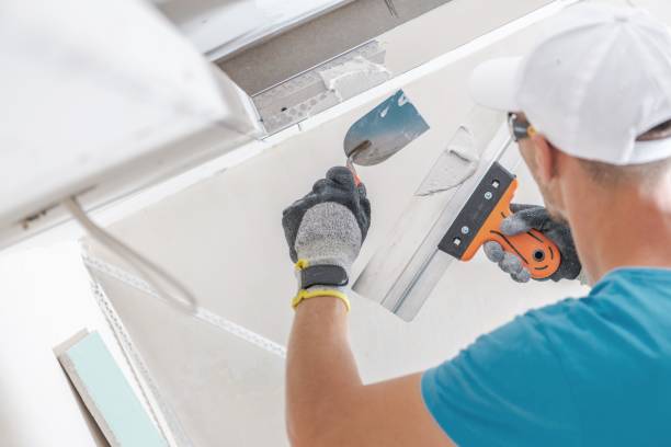 Best Air Quality Testing for Mold Spores  in Fritch, TX